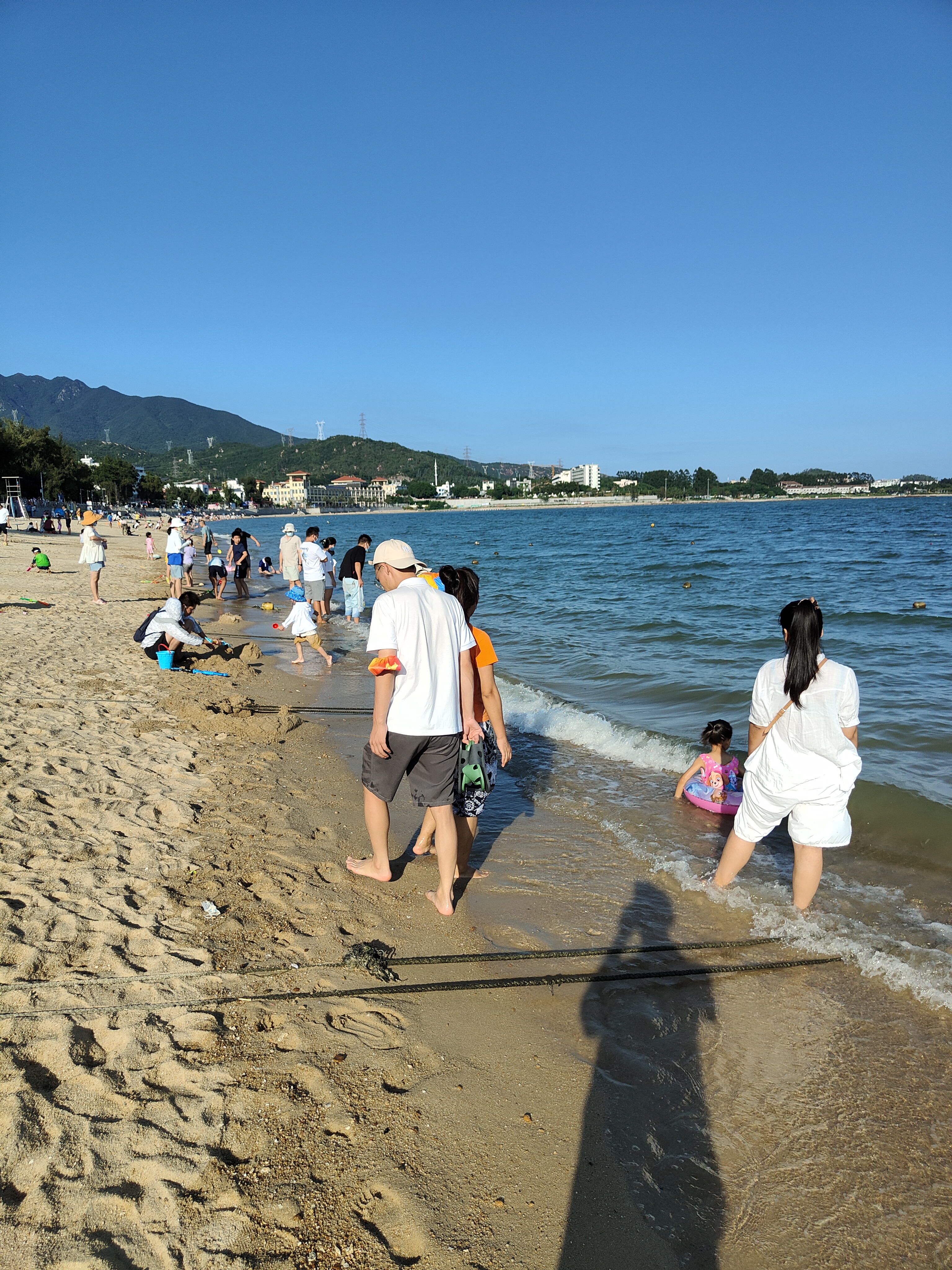 丛丛相亲交友平台