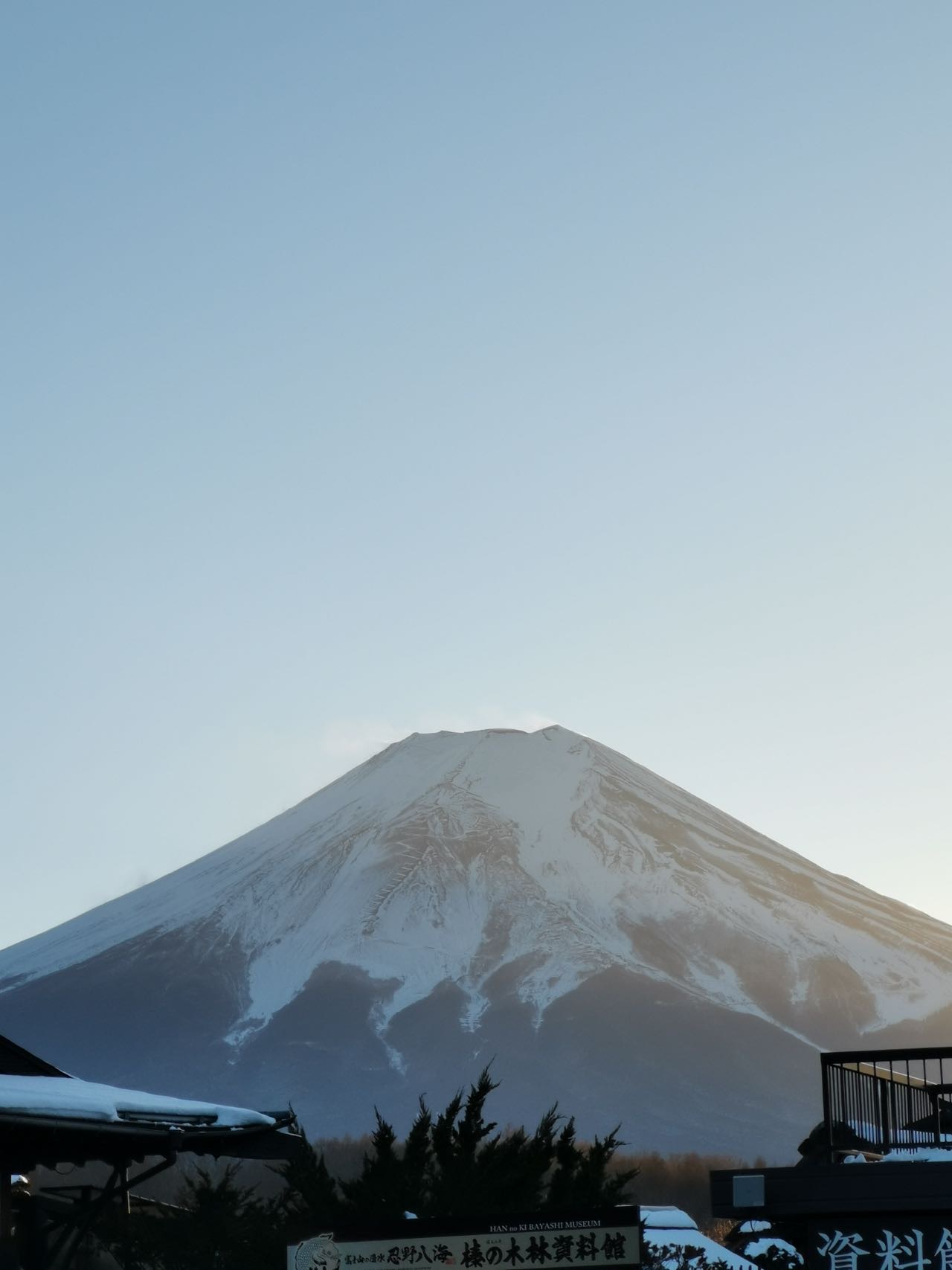 丛丛相亲交友平台
