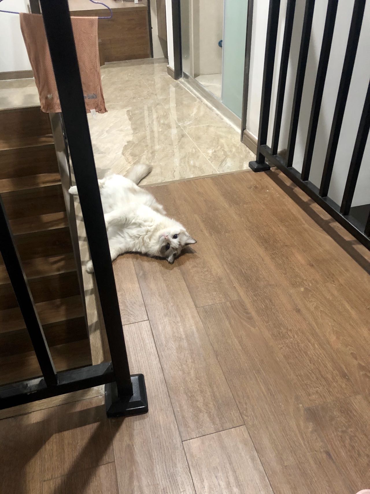 丛丛相亲交友平台