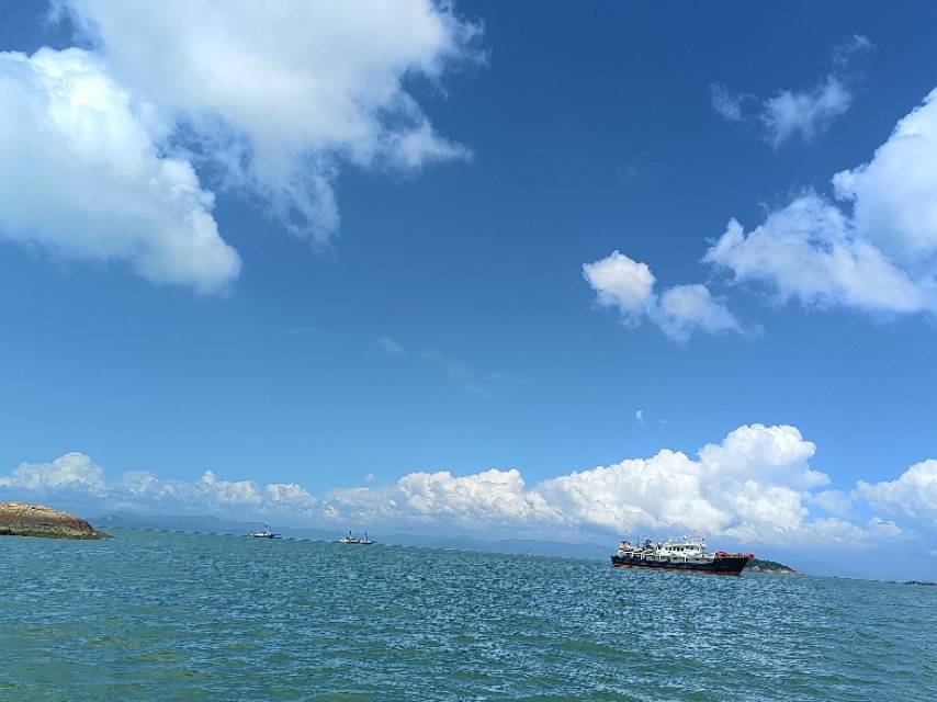 丛丛相亲交友平台