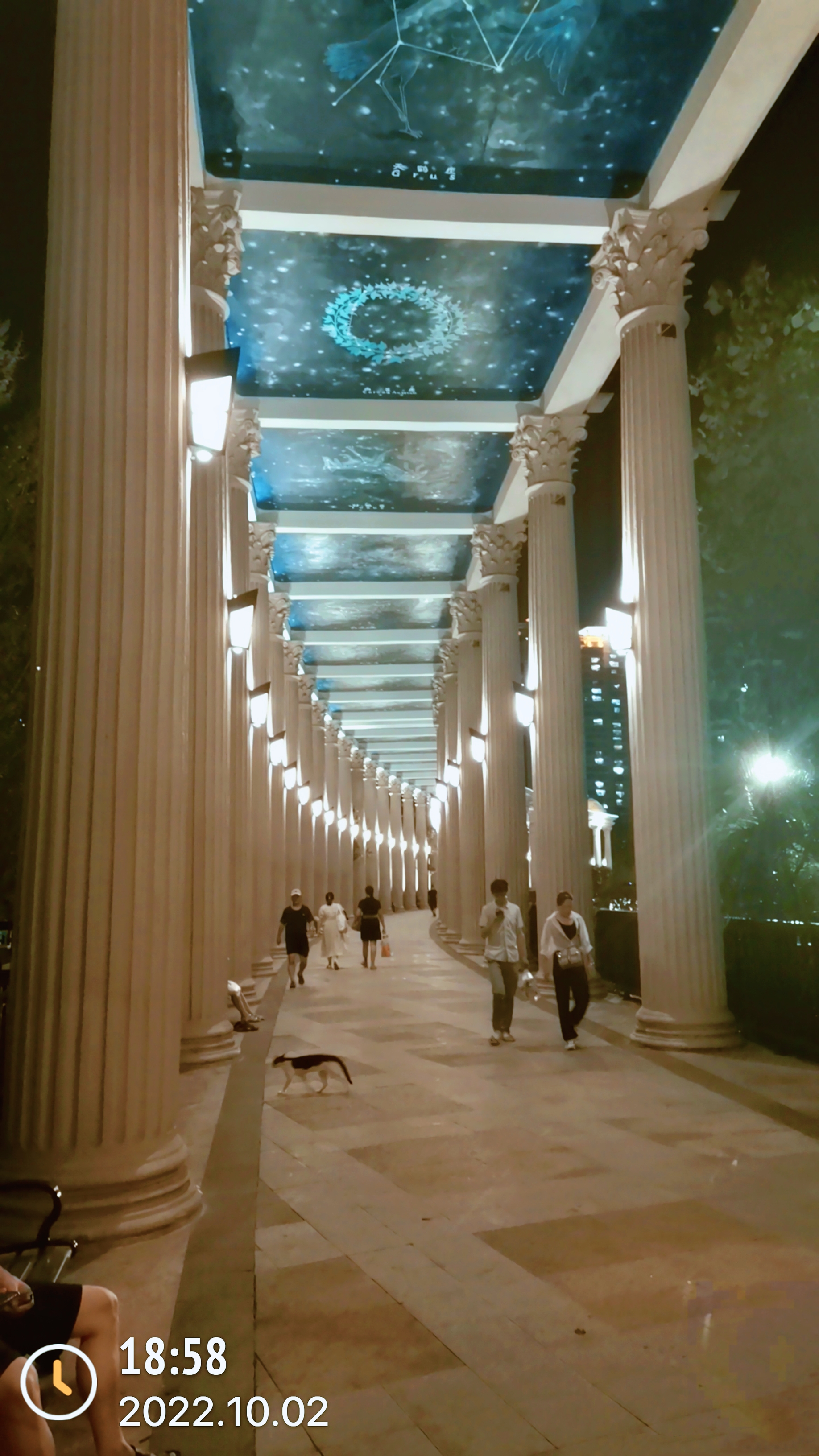 丛丛相亲交友平台