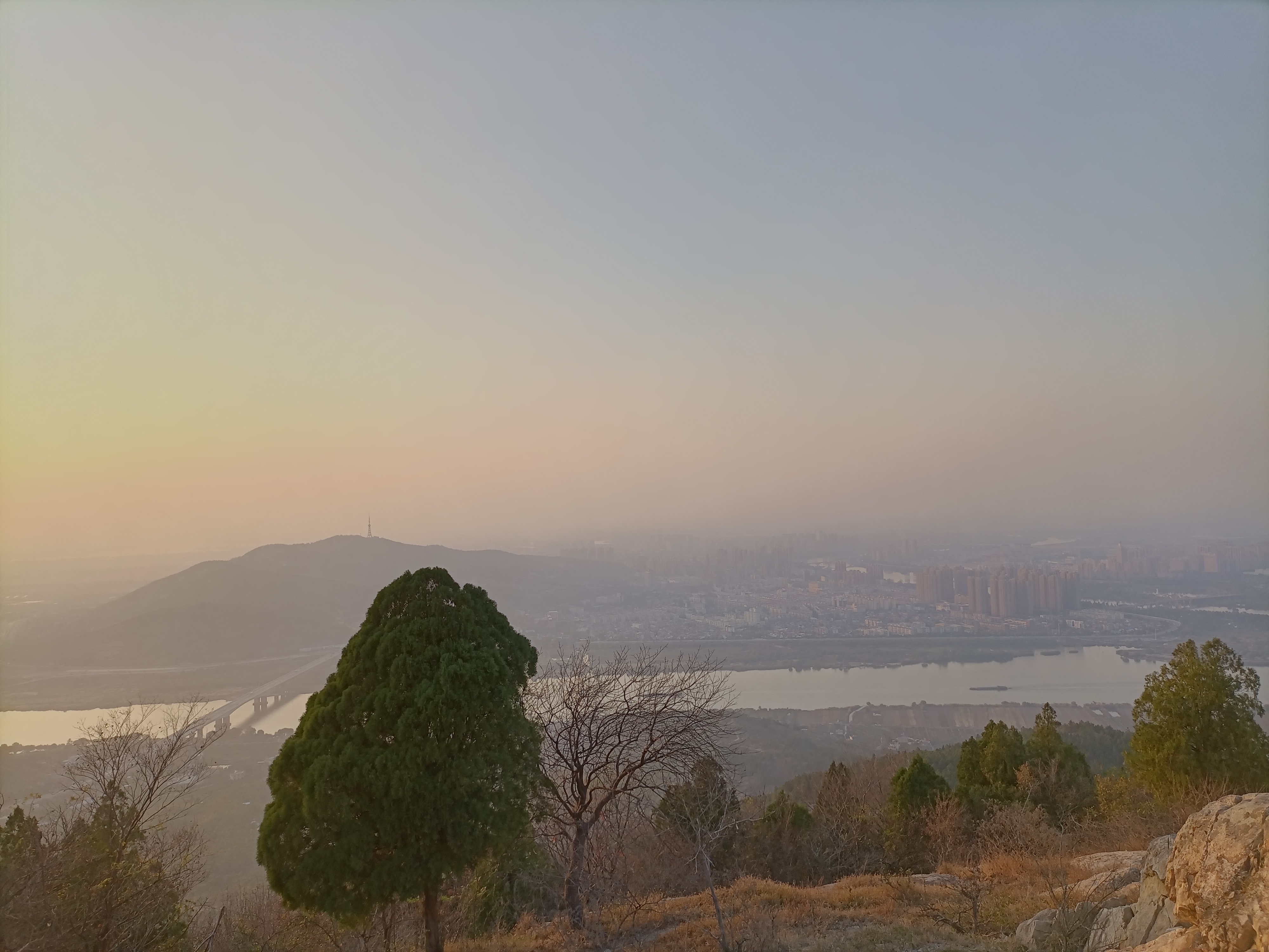 丛丛相亲交友平台