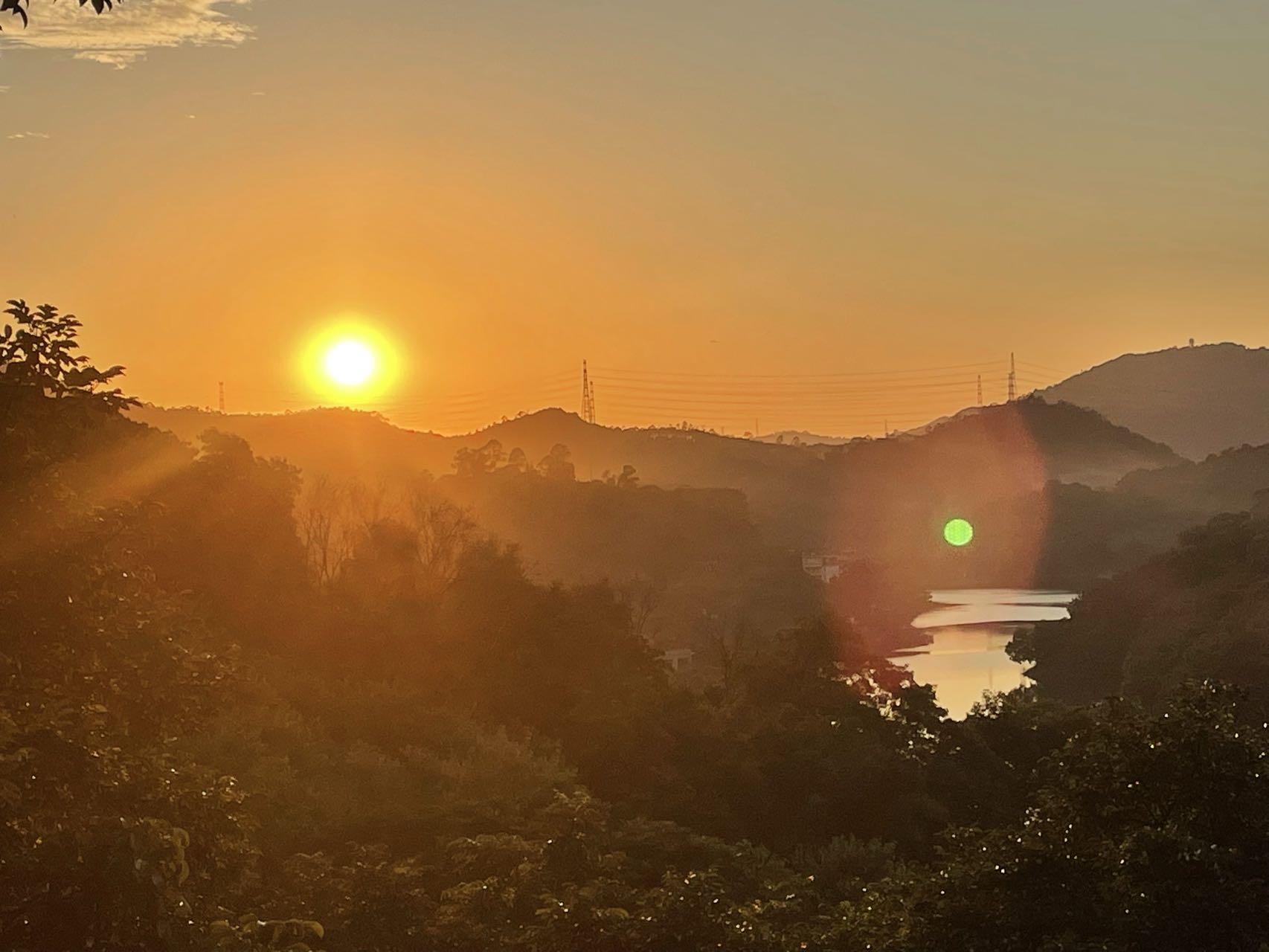 丛丛相亲交友平台