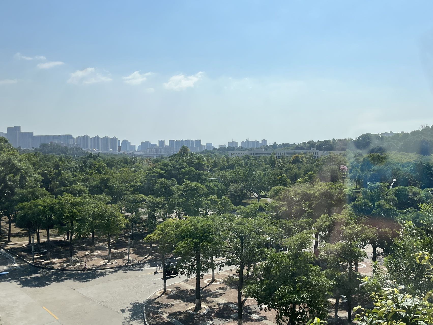 丛丛相亲交友平台