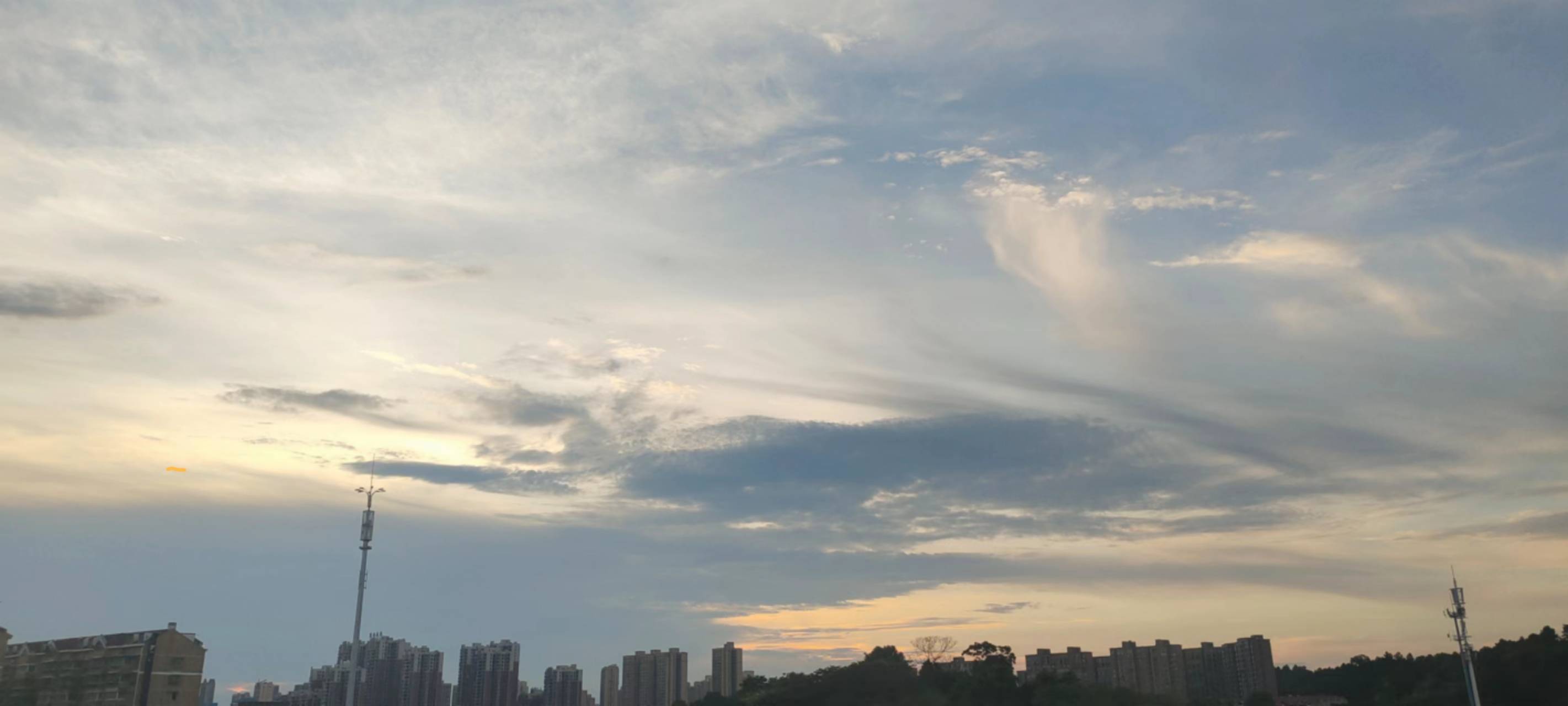 丛丛相亲交友平台