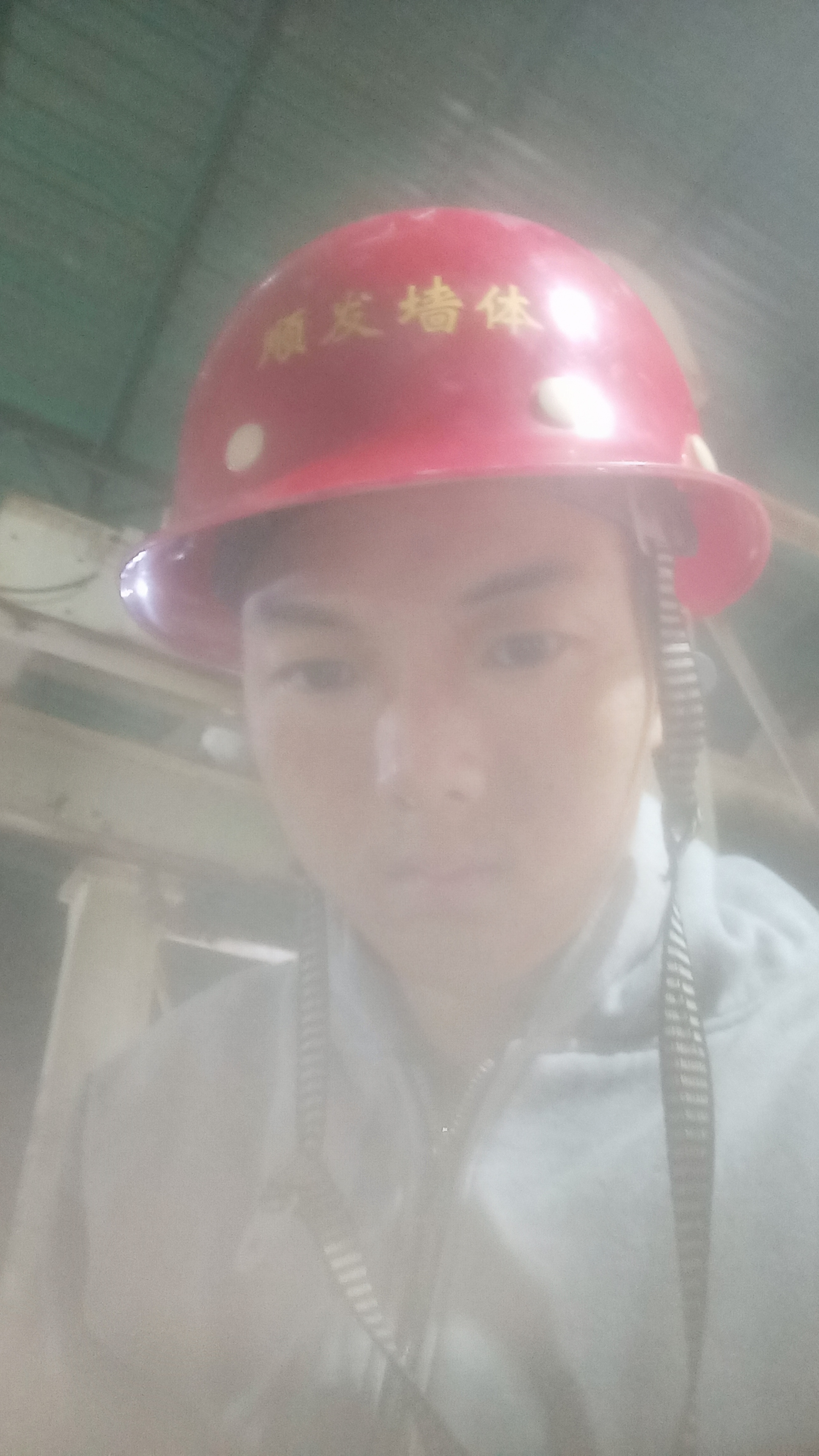 丛丛相亲交友平台