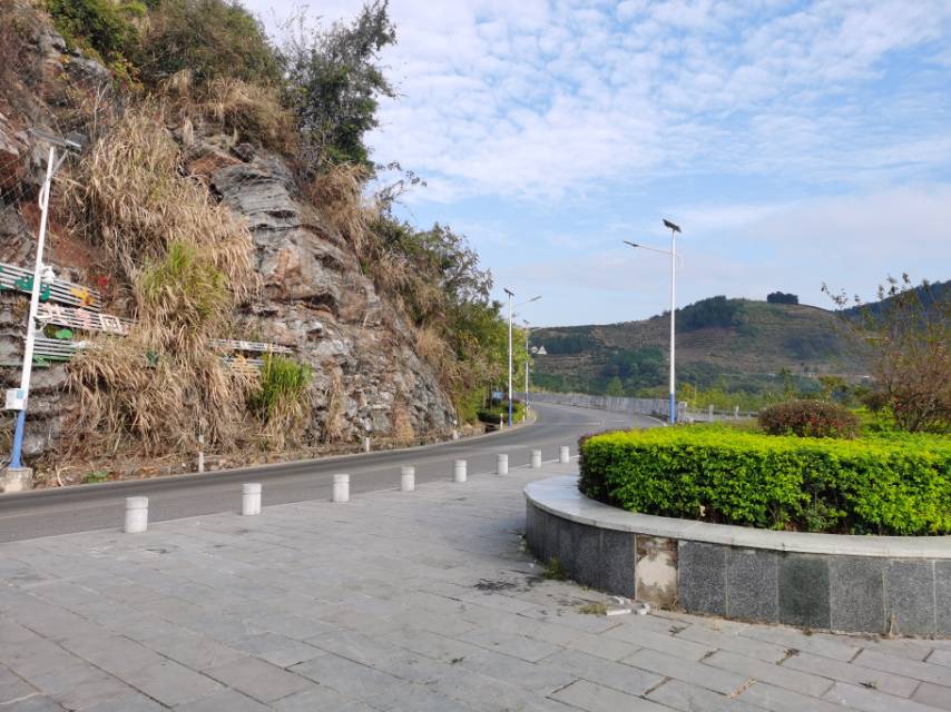 丛丛相亲交友平台