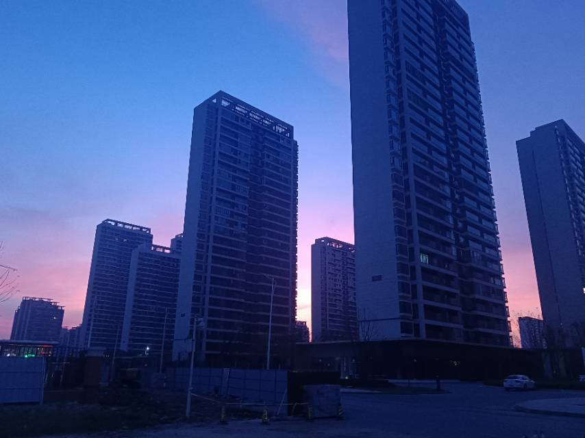 丛丛相亲交友平台