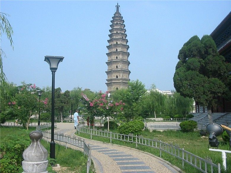 丛丛相亲交友平台