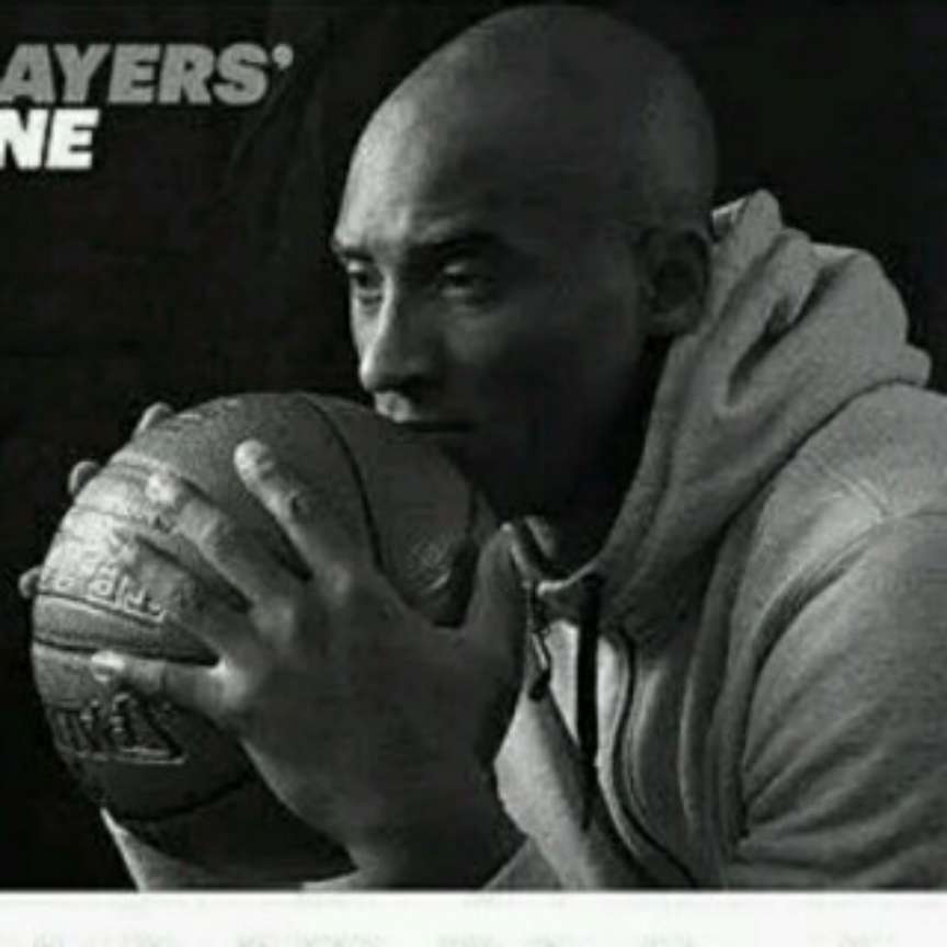 丛丛相亲交友平台