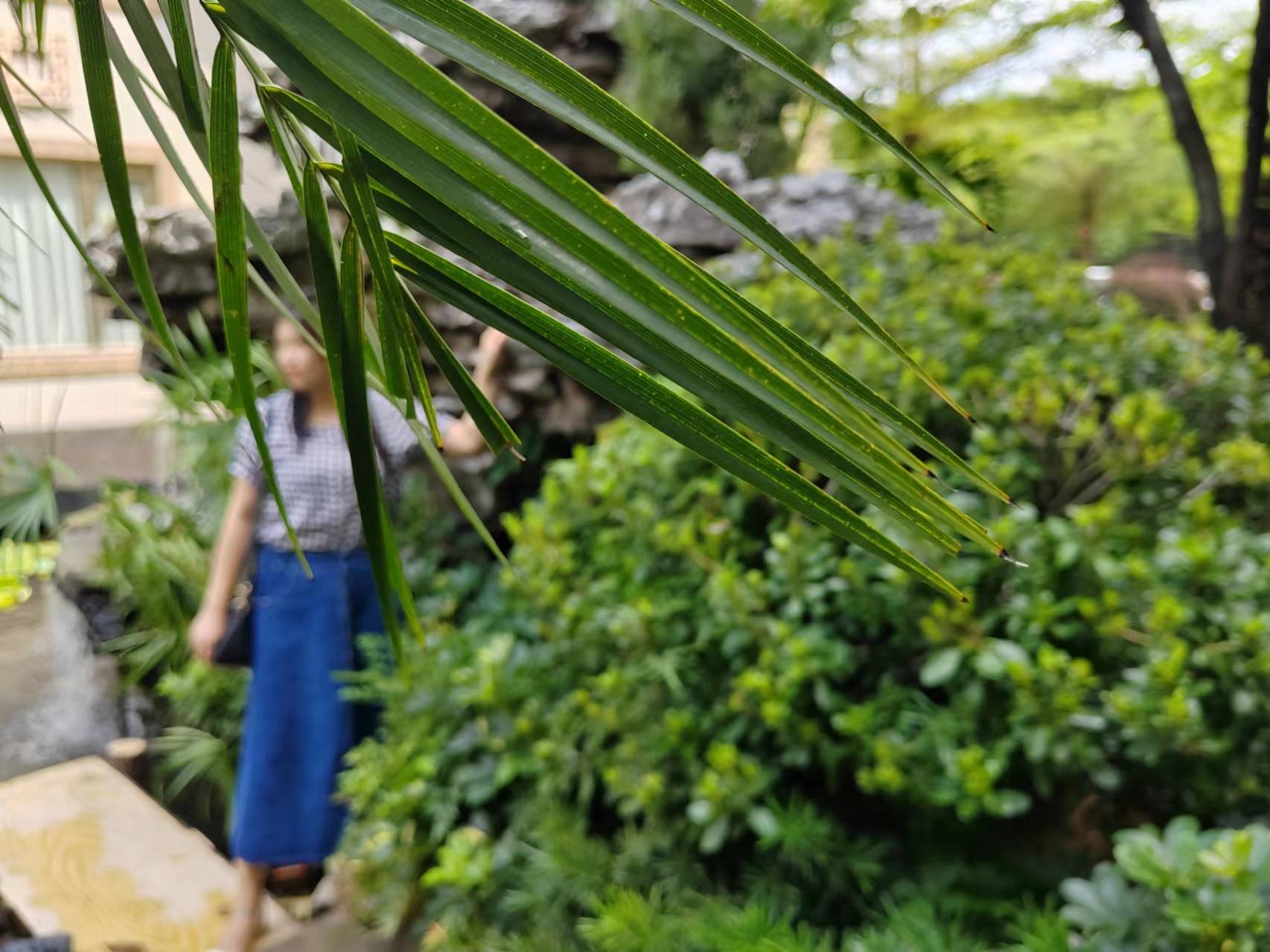 丛丛相亲交友平台