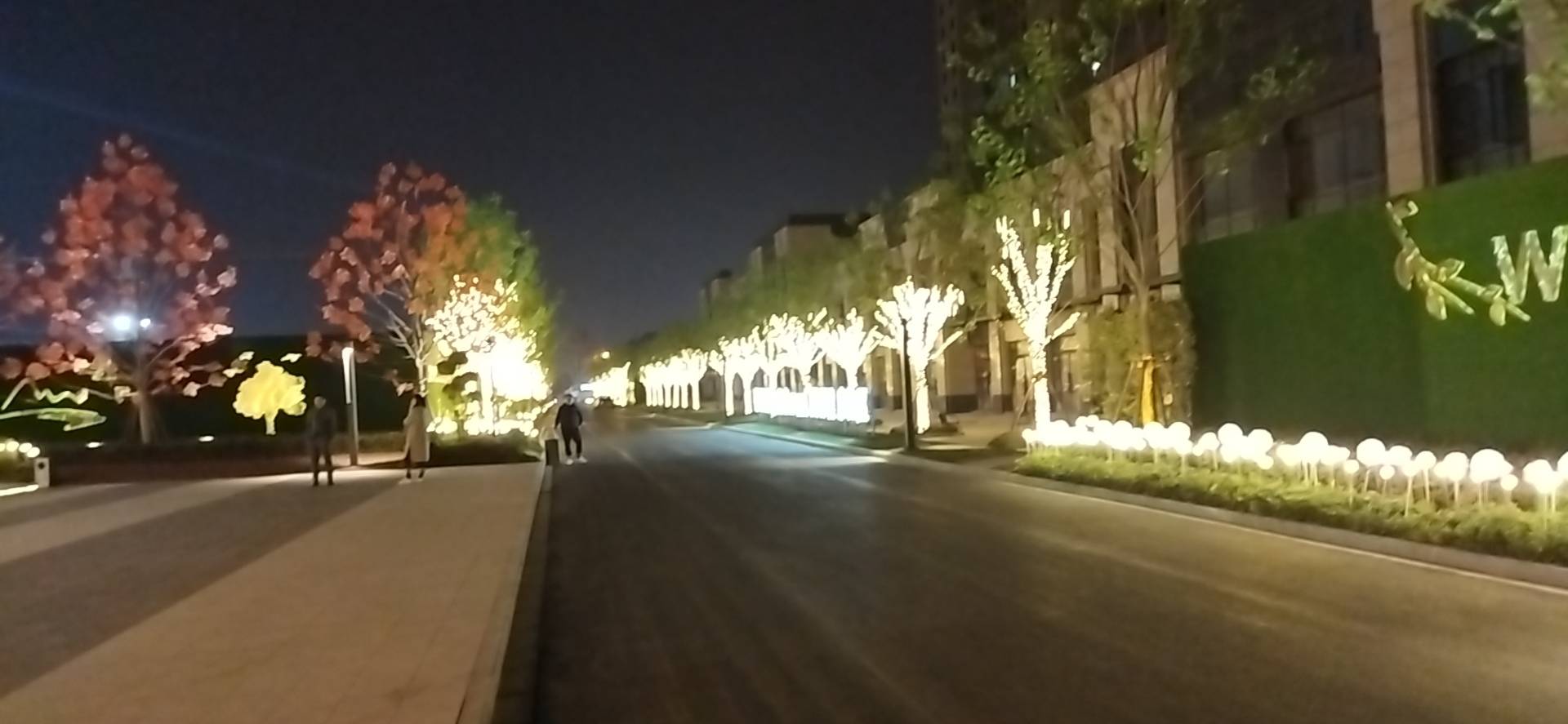 丛丛相亲交友平台