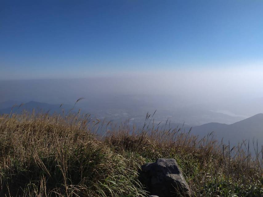 丛丛相亲交友平台