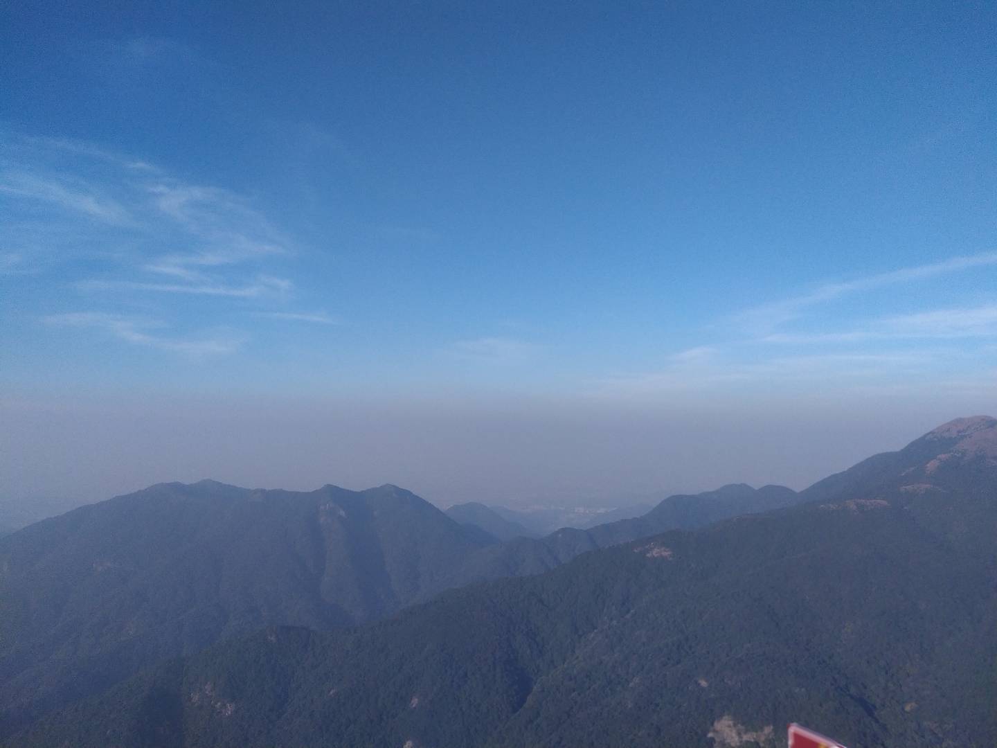 丛丛相亲交友平台