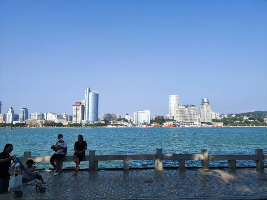 丛丛相亲交友平台