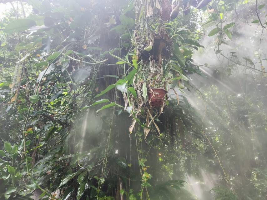 丛丛相亲交友平台