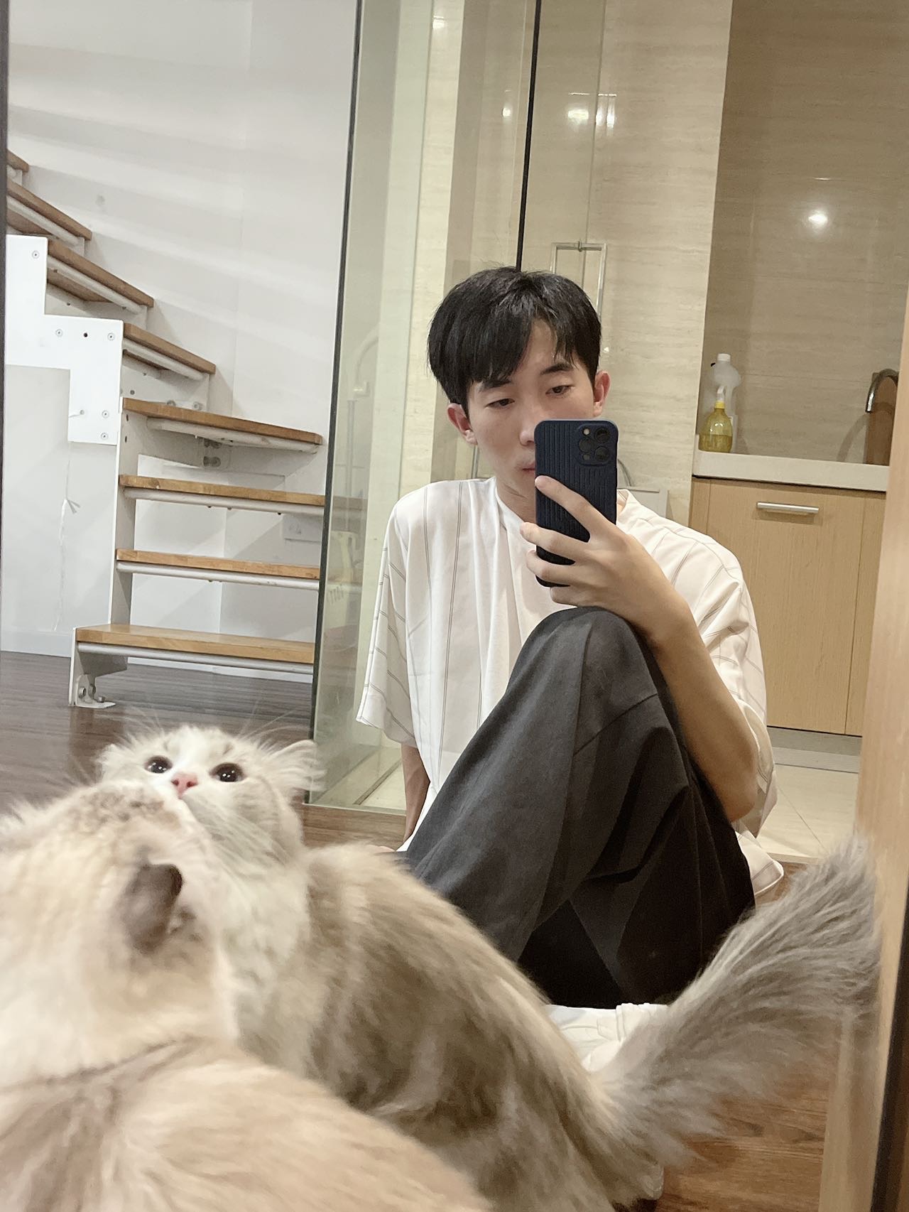 丛丛相亲交友平台