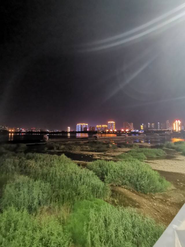 丛丛相亲交友平台