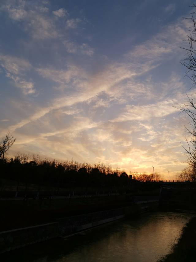 丛丛相亲交友平台