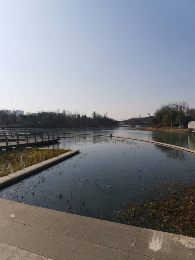 丛丛相亲交友平台