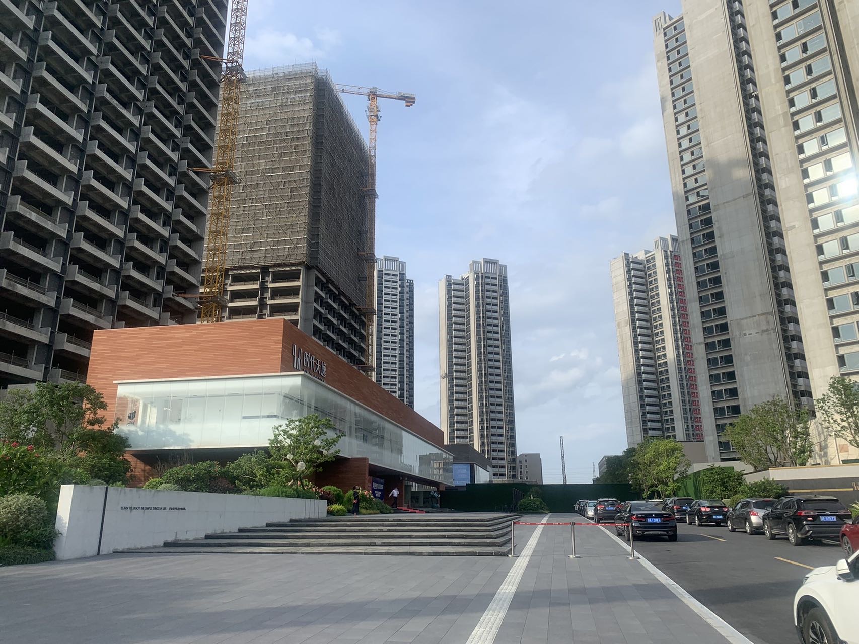 丛丛相亲交友平台