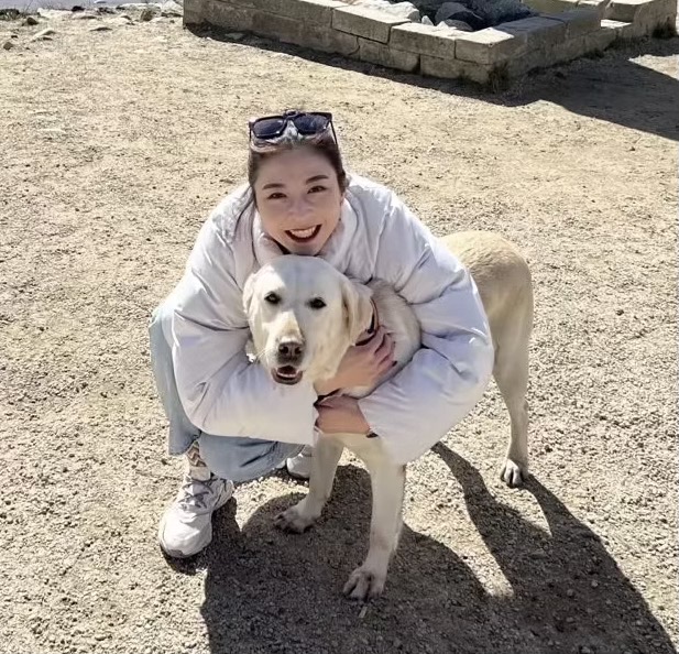 丛丛相亲交友平台