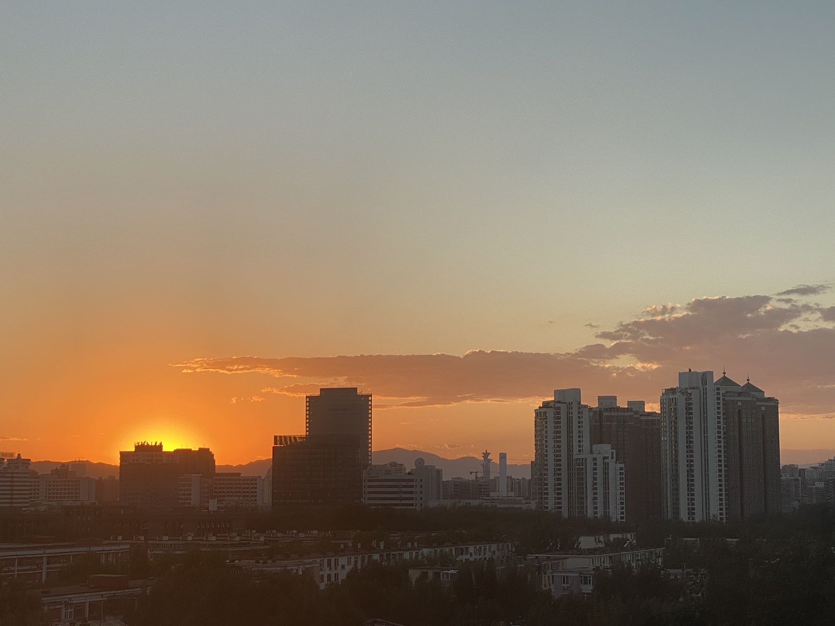 丛丛相亲交友平台