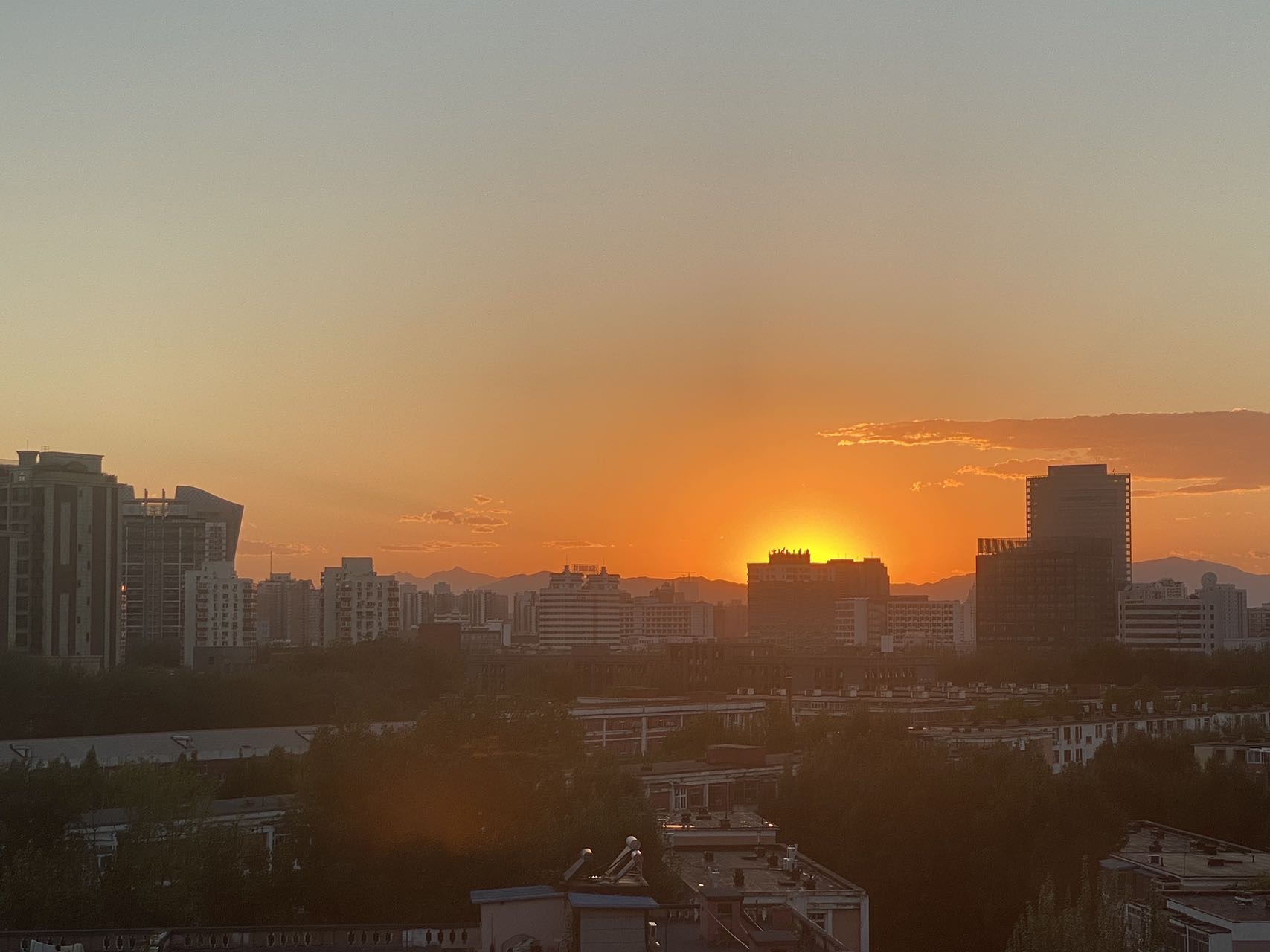 丛丛相亲交友平台