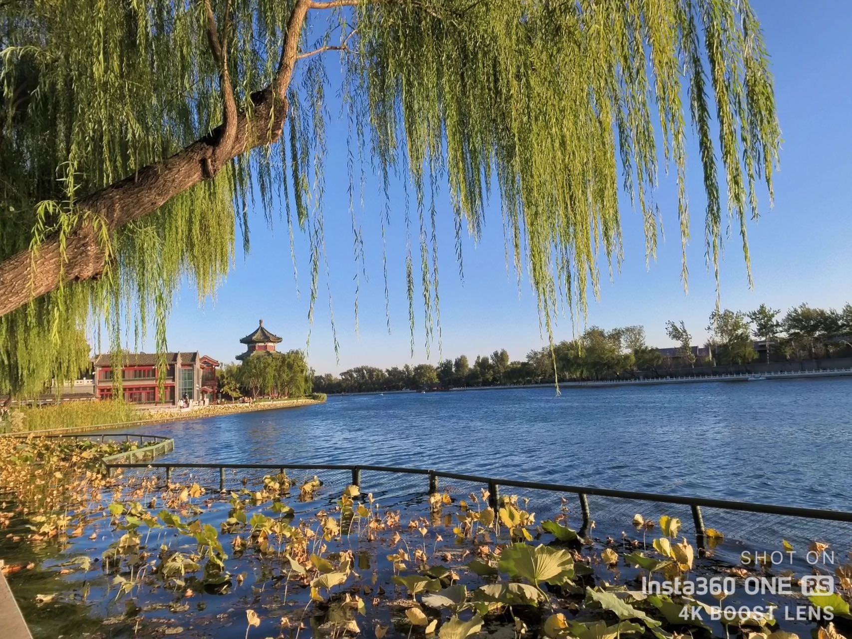 丛丛相亲交友平台