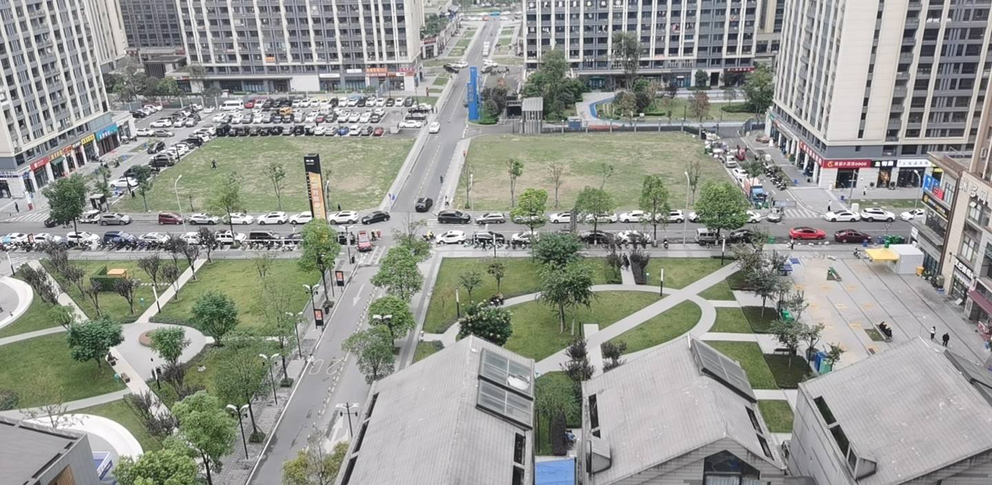 丛丛相亲交友平台