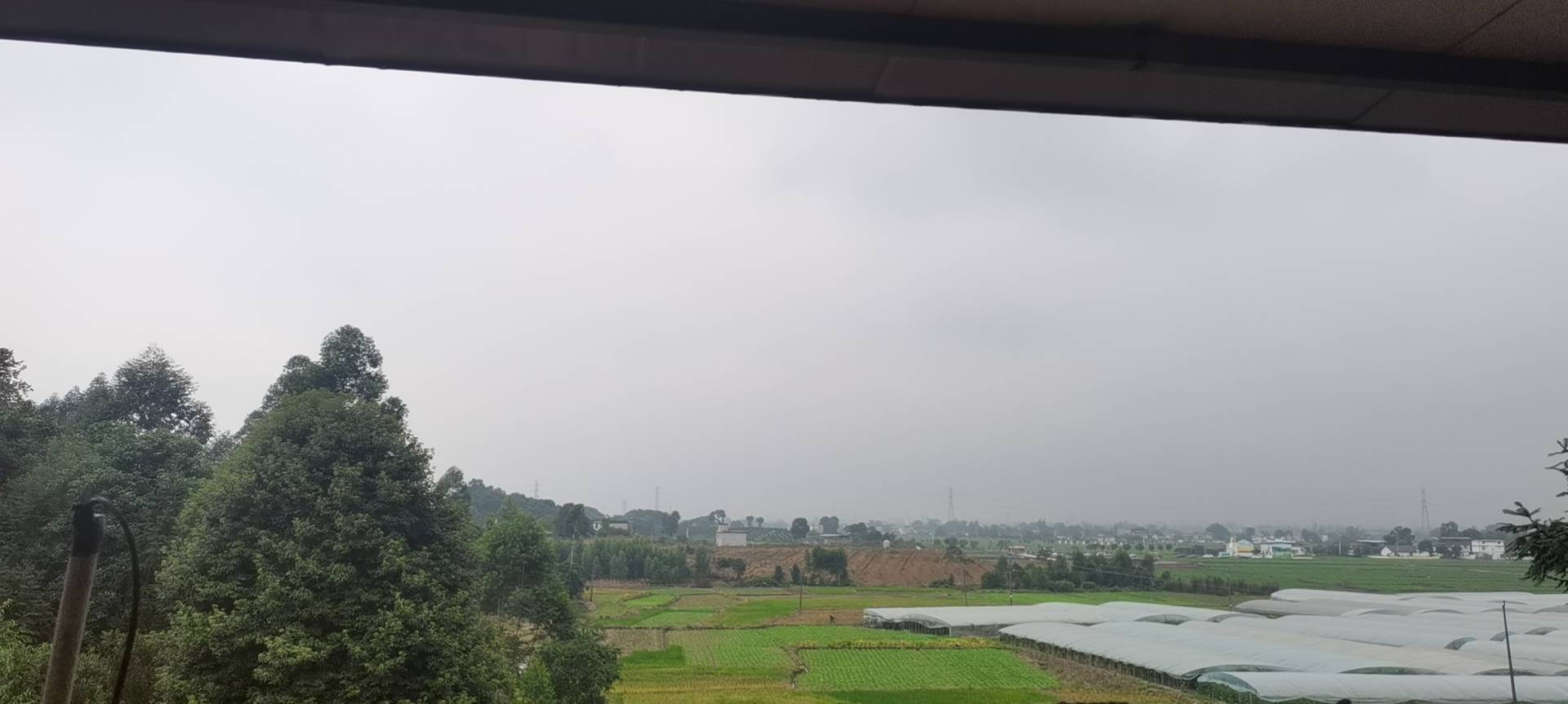 丛丛相亲交友平台