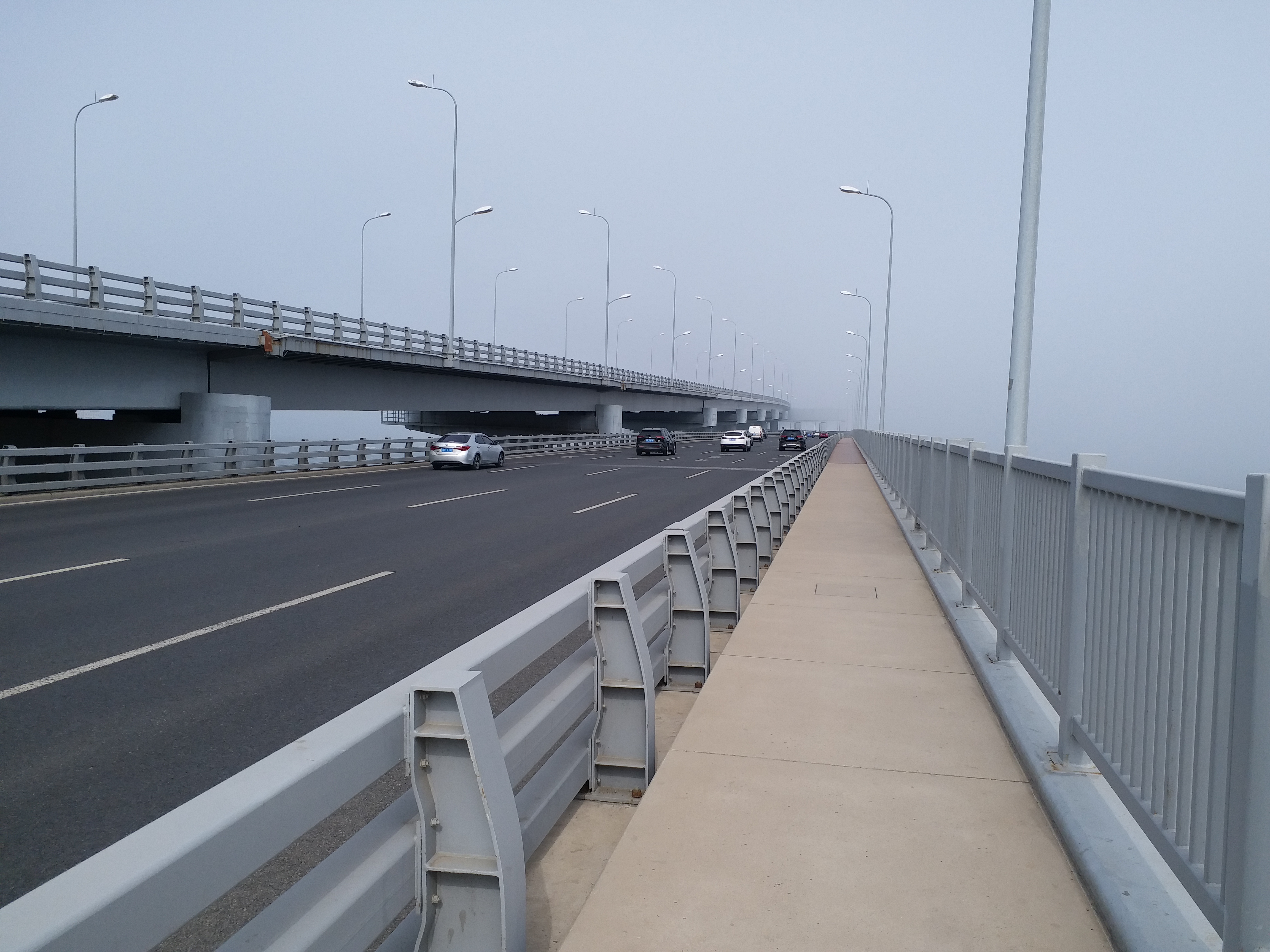 丛丛相亲交友平台