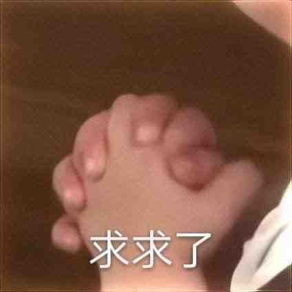 找搭子