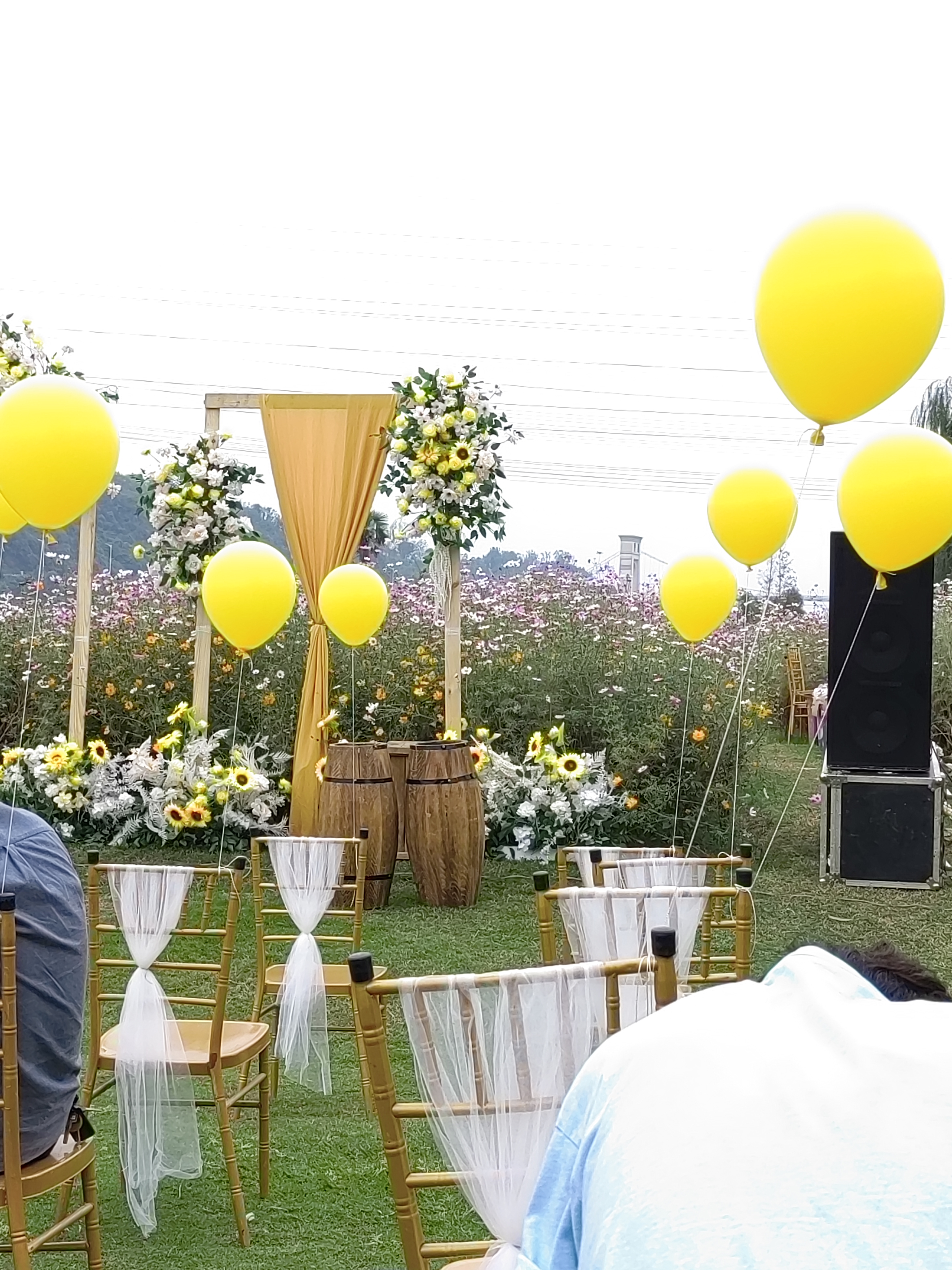 丛丛相亲交友平台