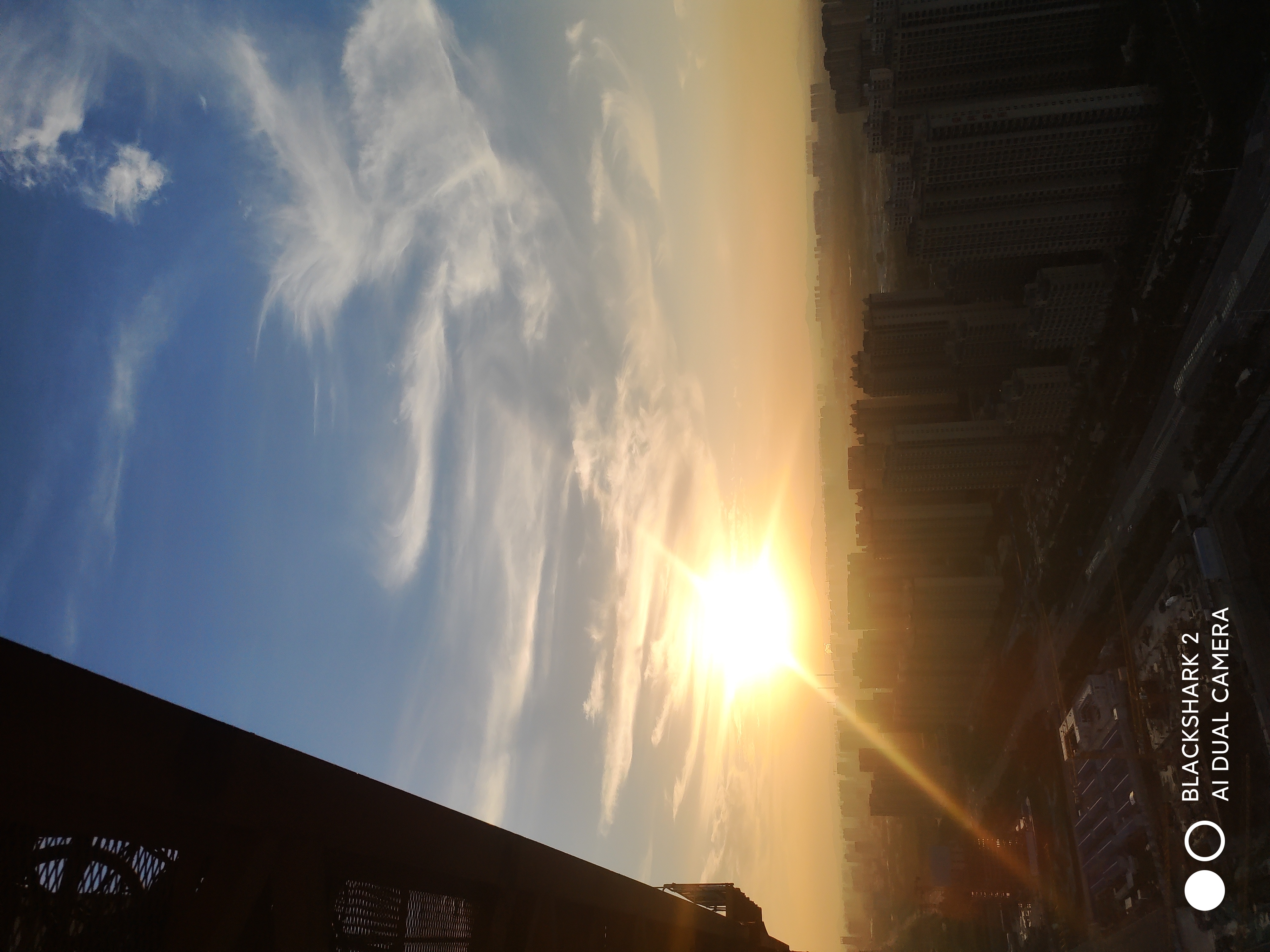 丛丛相亲交友平台