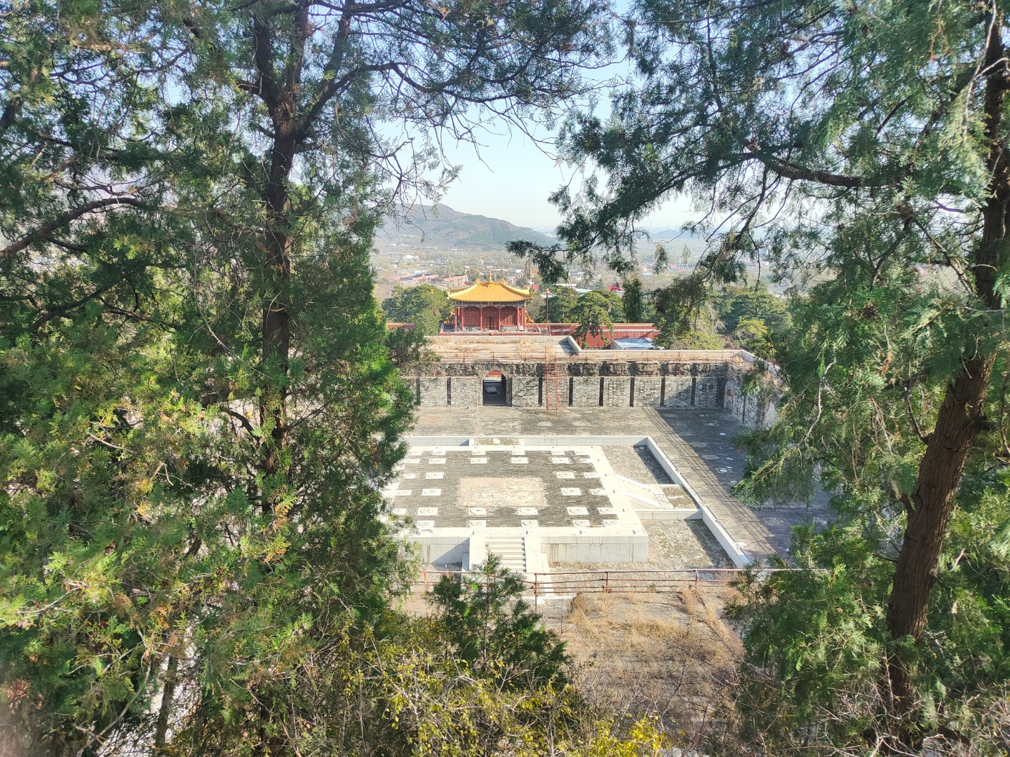 找搭子