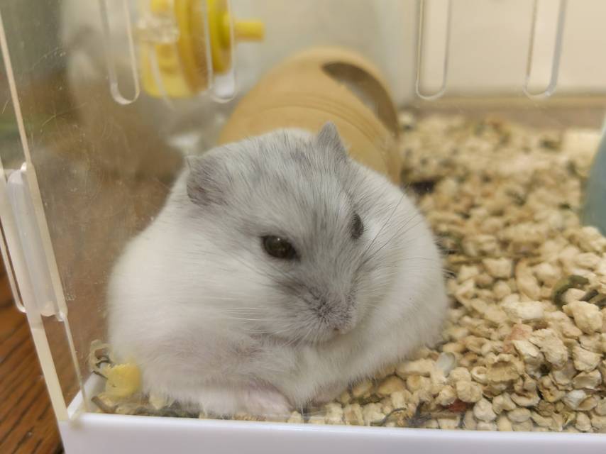 找搭子