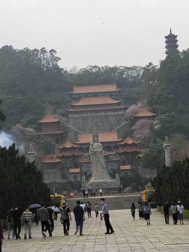 找搭子