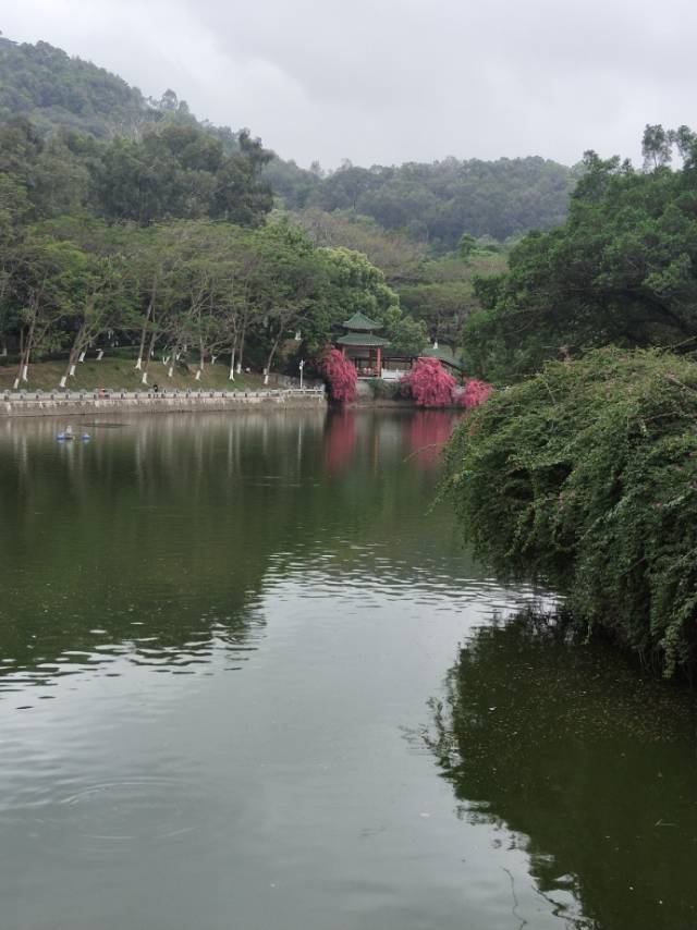 找搭子