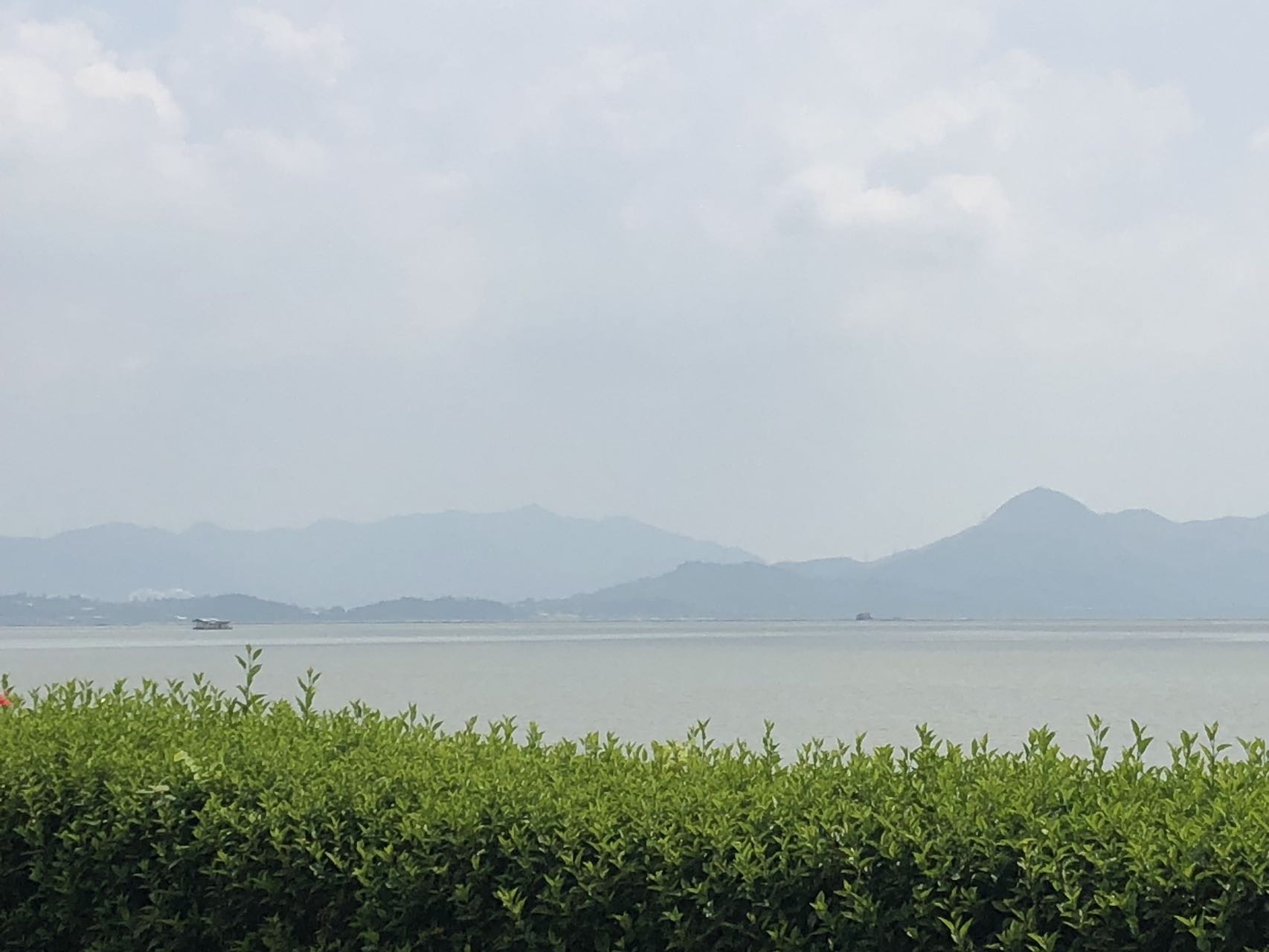 找搭子