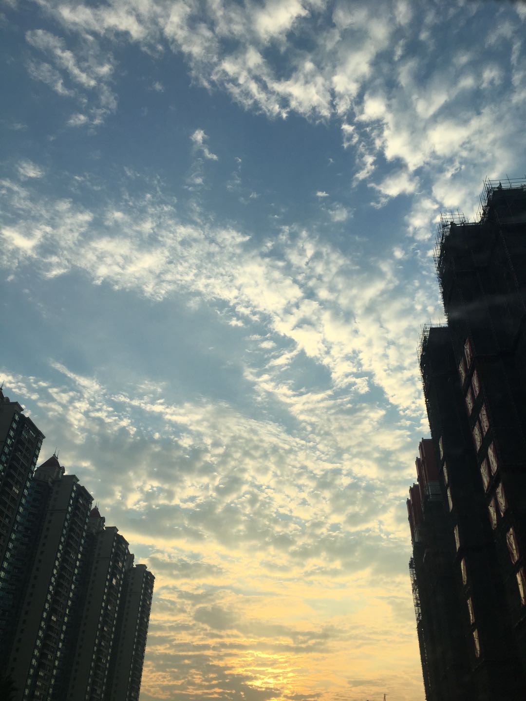 找搭子