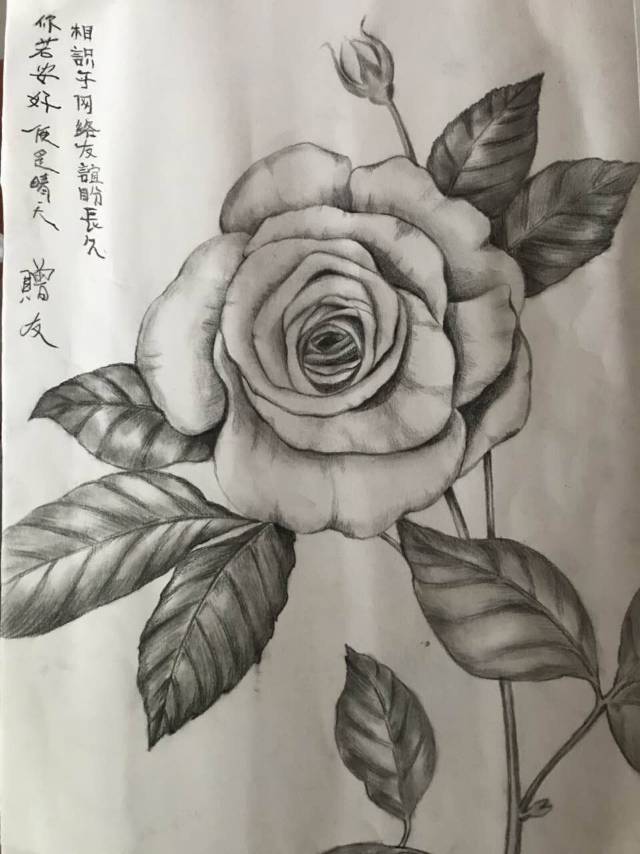 找搭子