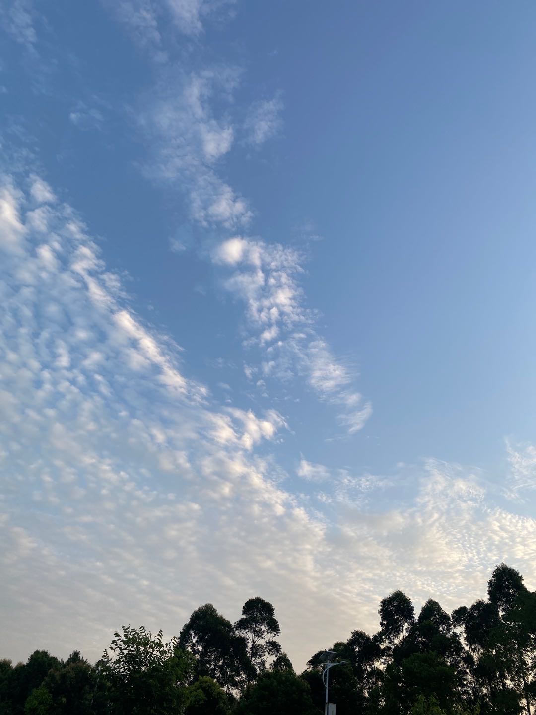 找搭子