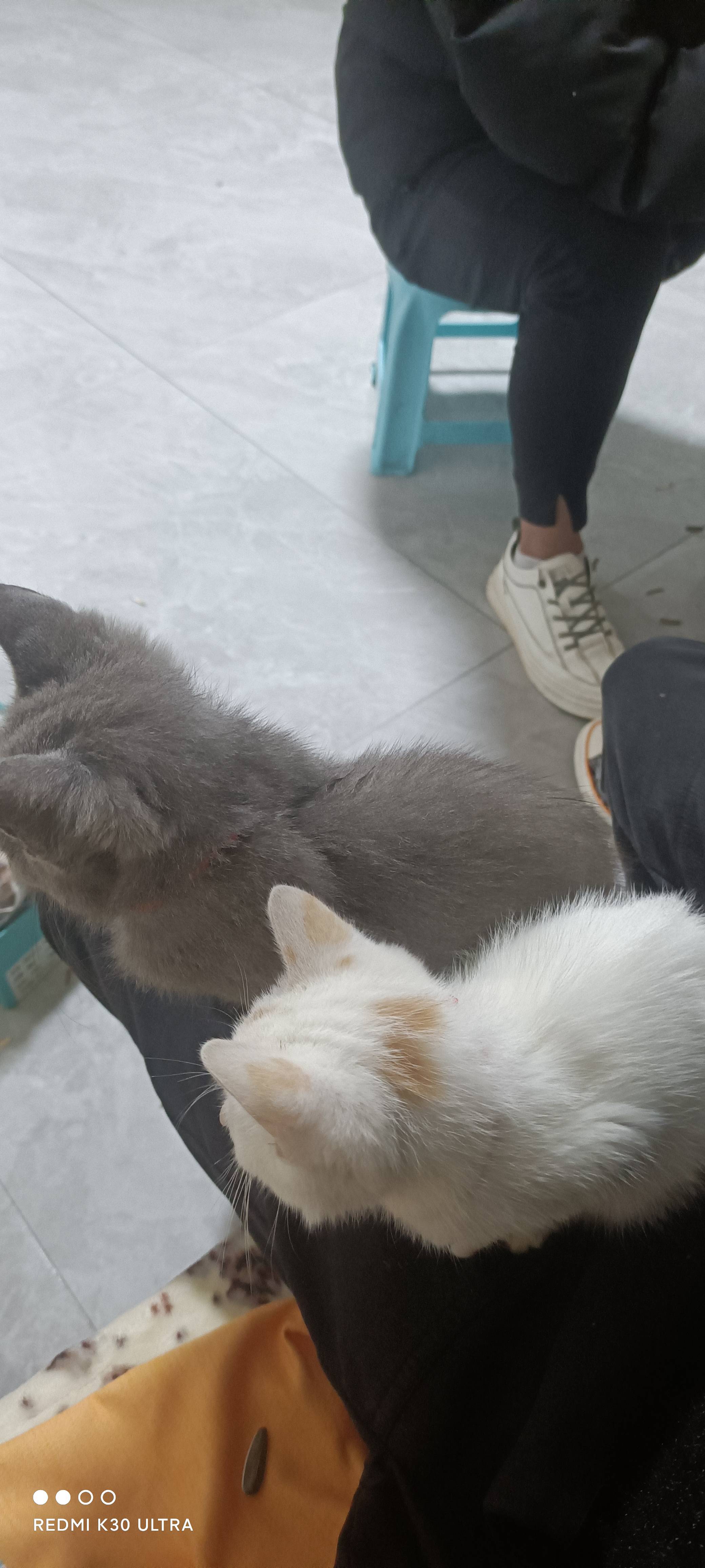 找搭子