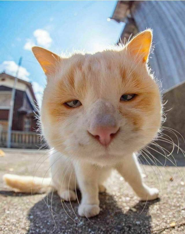 找搭子