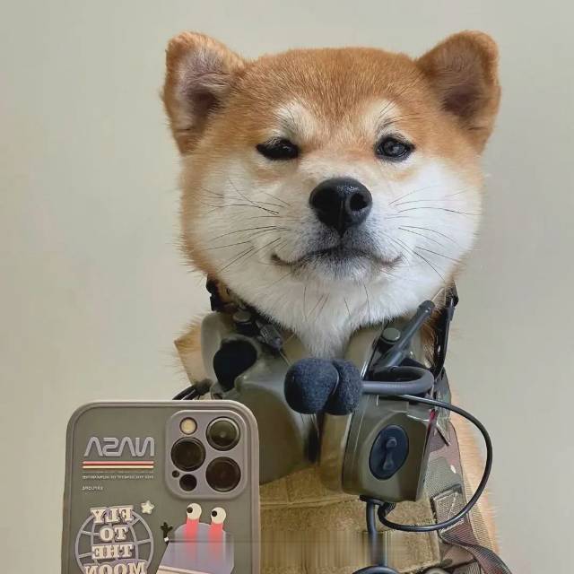 找搭子
