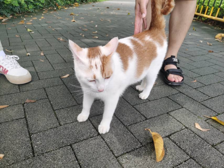 找搭子