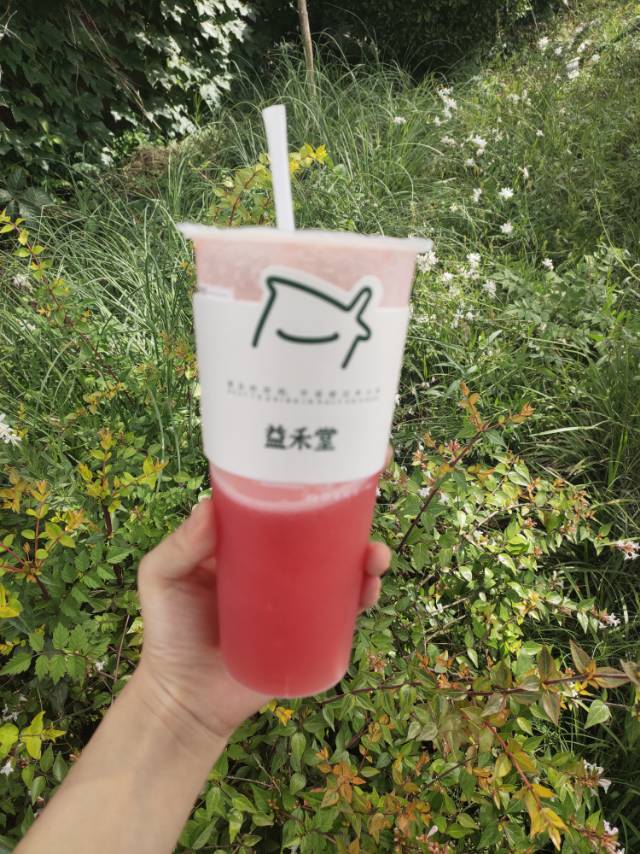 找搭子