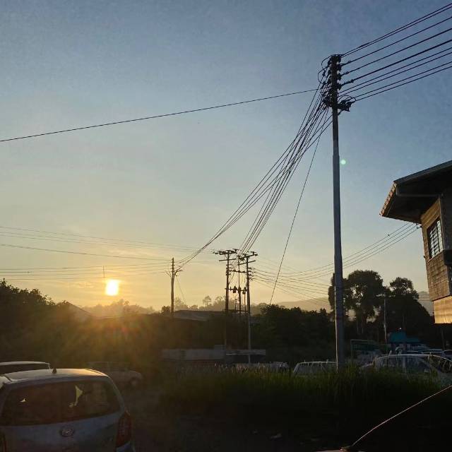 找搭子