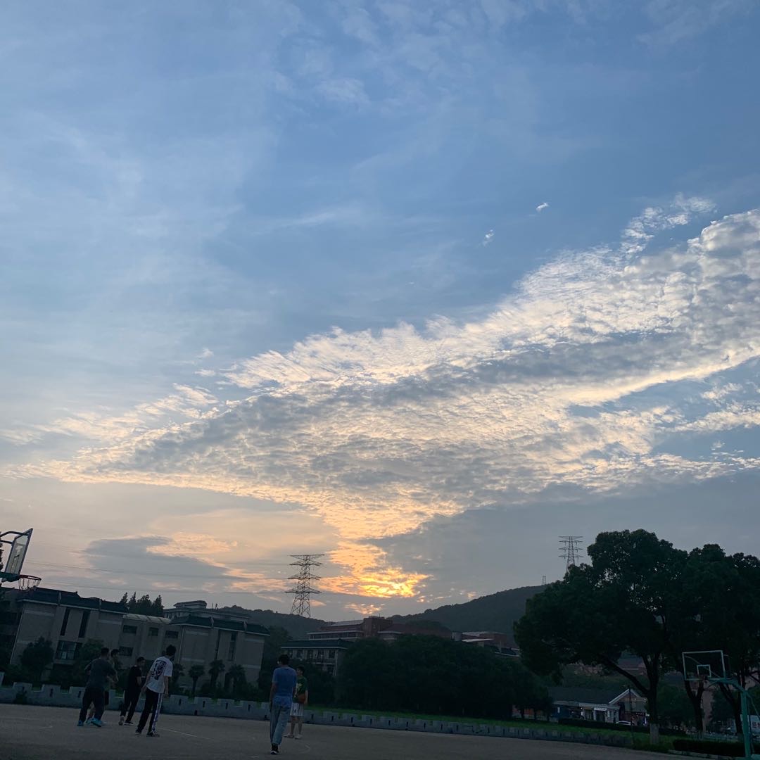 找搭子
